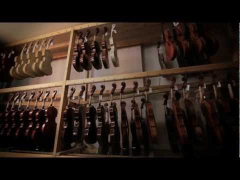 Viorile Gliga- pasiune și excelență