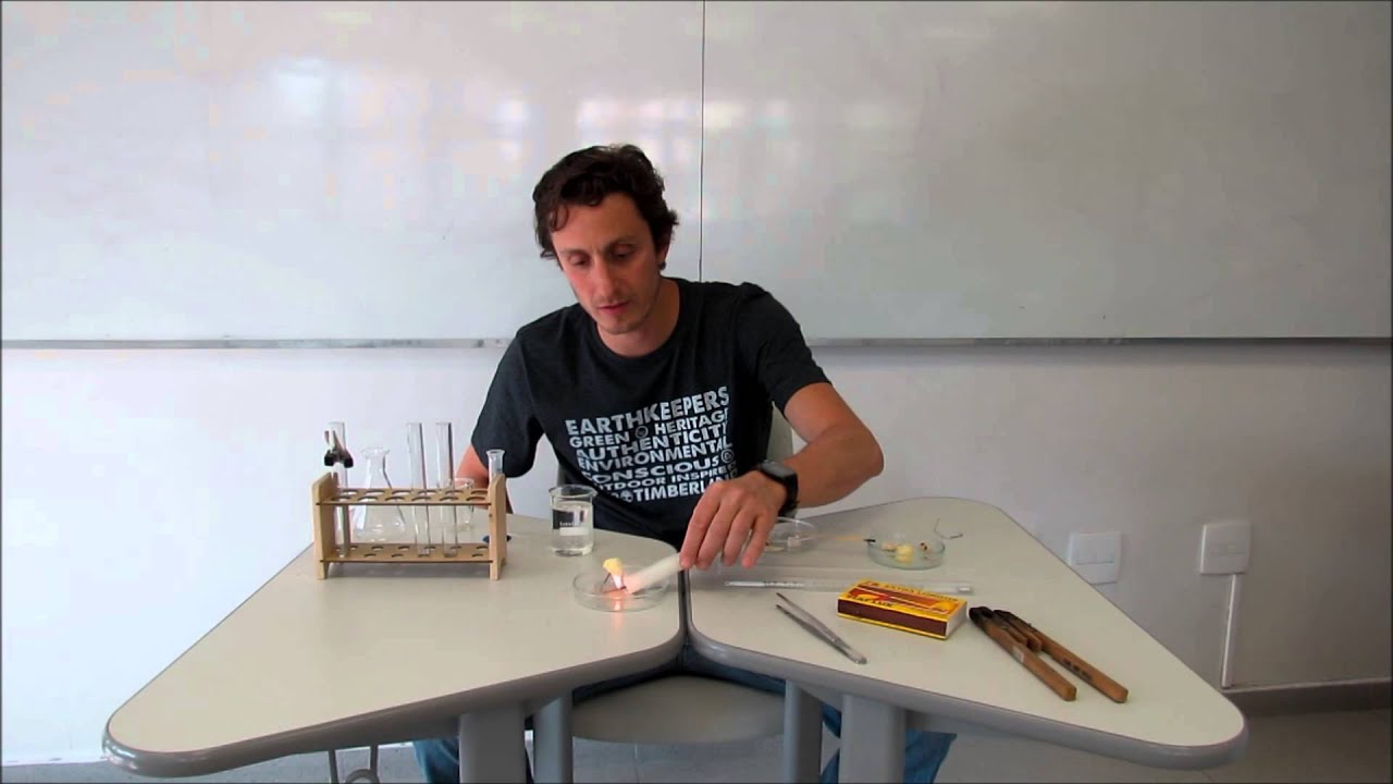 Avaliando o valor calórico de alguns alimentos