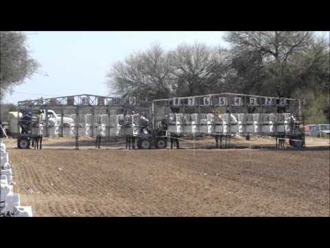 IBERA-PANGARE-11/09/16