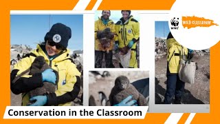 חיים בעולם קפוא: אנטארקטיקה