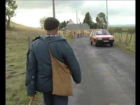 Davalada de la vacada de Calmejana