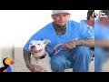 Shelter Dog and Prisoner Give Each Other A Second Chance | The Dodo