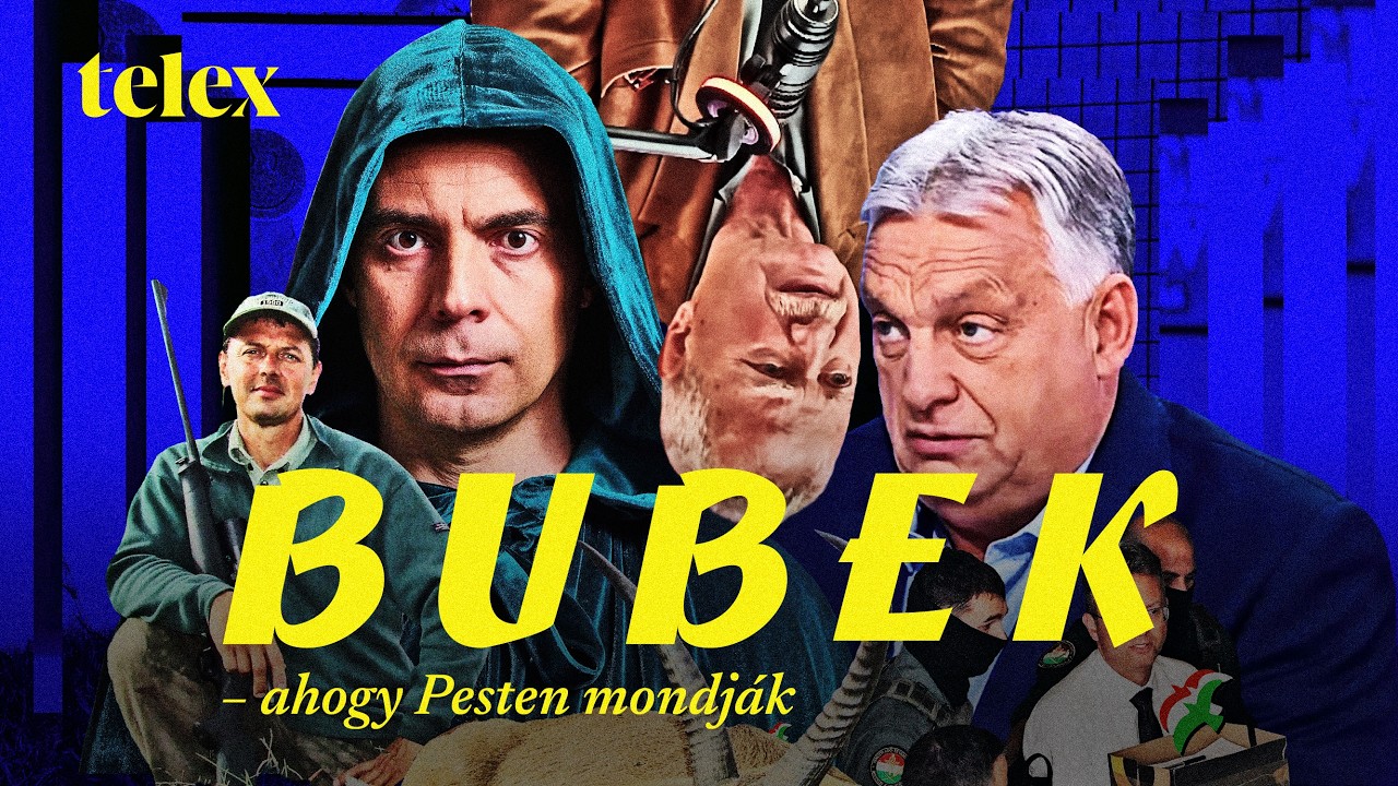 Kaprinyák elől menekítették ki a zebrákat Afrikából, hogy aztán Hatvanpusztán hagyják őket megfagyni