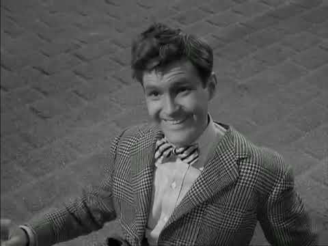 1x33 pt.1 - Il signor Bevis - Ai Confini Della Realtà (The Twilight Zone)