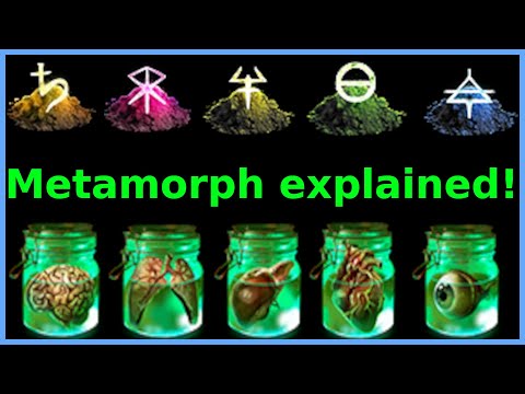 Metamorph explained! 3.19 [Pathofexile]