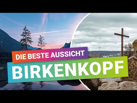 Die beste Aussicht auf Stuttgart? Fotowalk auf den Birkenkopf - dem höchsten Berg in Stuttgart