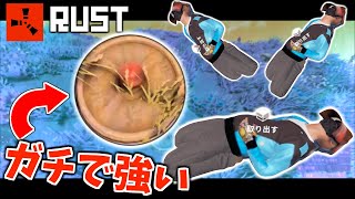 拠点周りに地雷しかけまくったらまさかの結果にwww【RUST実況】