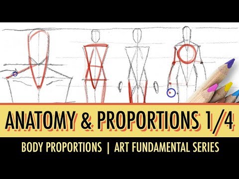 Art Fundamentals: Basic Anatomy & Proportions 1/4