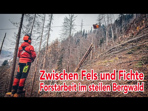 Zwischen Fels und Fichte: Forstarbeit im steilen Bergwald