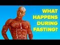 What Happens To Your Body When You Don T Eat Fast