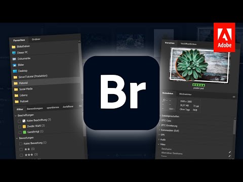 Adobe Bridge 2022 (Grundkurs für Einsteiger) Einfach deine Dateien verwalten