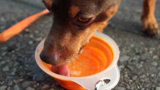 one fine summer morning