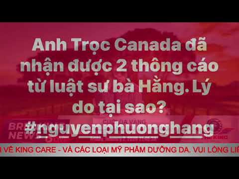 CUỘI DA VÀNG NHỮNG THẰNG MÙ LƯU VONG - 01/02/2026 - The KING Channel