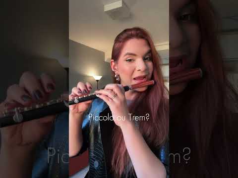 No expresso viajamos 🚞 #flautatransversal