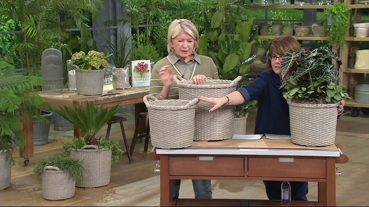 Martha Stewart Faux Wicker Planter on QVC