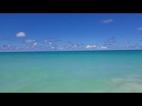 Waimanolo Beach for Dita & Ailish