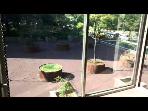 33 Pond Ave #416 1Bedroom