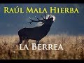LA BERREA de RA&Uacute;L MALA HIERBA