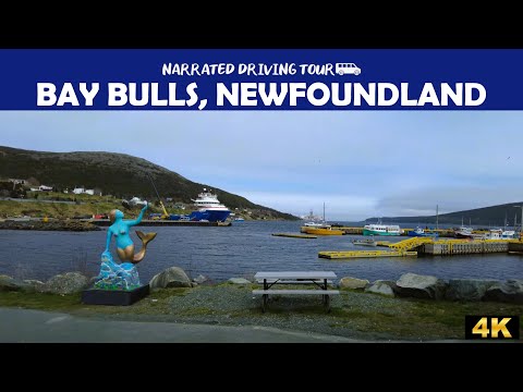 🚗 Scenic Drive Through Bay Bulls, Newfoundland | Stunning 4K Coastal Views! 🌊🏞️