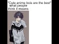 Cute Anime Boys Vtuber Femboy