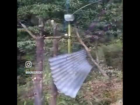 Doohickey Thingamabob