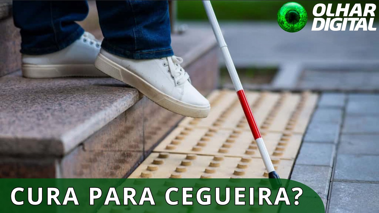  Terapia genética consegue devolver parte da visão em teste clínico