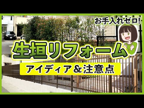 壁の生垣: 拡幅が必要です