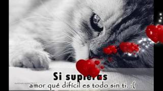 Se va muriendo mi alma  La Septima Banda