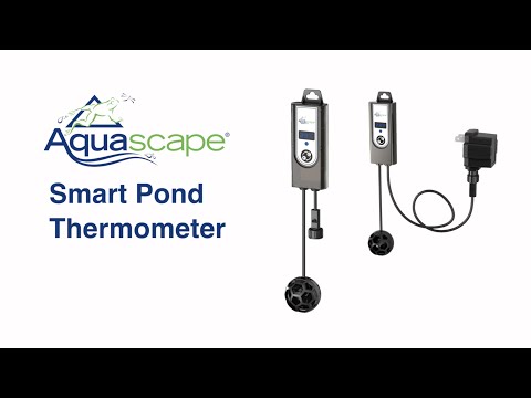 Smart Pond Thermometer