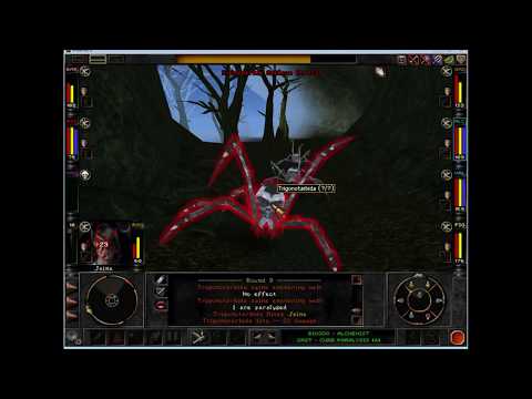 Wizardry 8 Reforged 25 - Hole in the ground