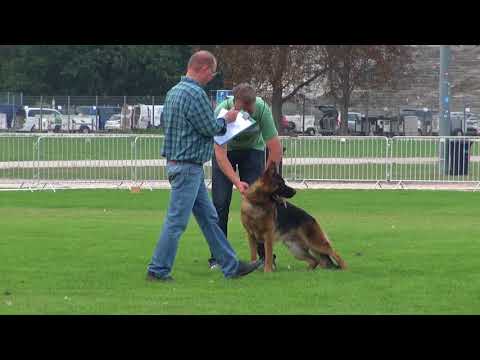 download lagu mp3 mp4 De Marka, download lagu De Marka gratis, unduh video klip De Marka