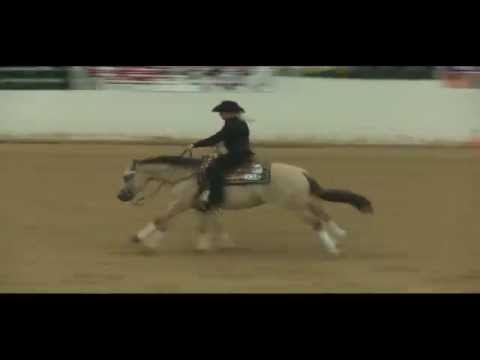 DUNIT THE GUNNER WAY    LAS VEGAS 2014