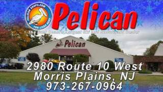 preview picture of video 'Pelican Morris Plains Winter 2010-2011'