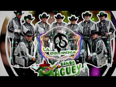 Popurri Quebraditas - Banda Maguey