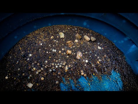 Why Black Sand is Your Friend Gold Mining!