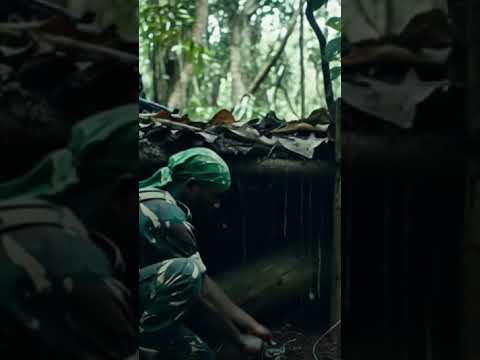 Liberation Tigers of Tamil Eelam (LTTE) video 3