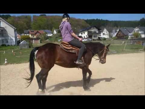 Nadine & Ronja beim Spintraining mit 12oaksTV