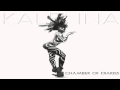 Kalenna S On My Chest Chamber Of Diaries