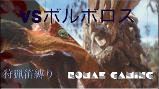 【モンスターハンターライズ】ボルボロスよりヤック先生の方が目立ってんだよなぁ…狩猟笛縛り#8