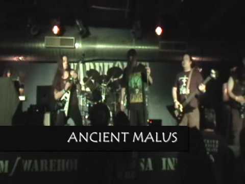Commercial Free Project   Ancient Malus Live @ The WHMV Song 2