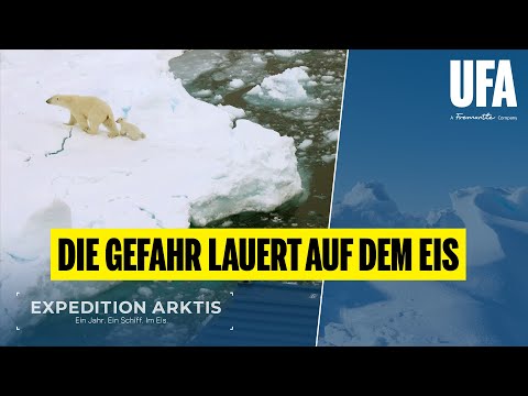 EXPEDITION ARKTIS: Die Gefahr lauert auf dem Eis!  I MOSAiC-Expedition