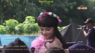 Download lagu Nelongso ~ Tasya Rosmala New Pallapa Terbaru 2017 mp3