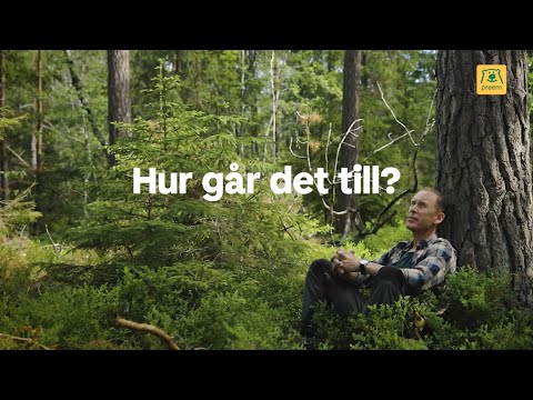 Därför är det bra med rester från skogen
