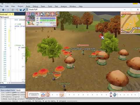 Shade FlyFF - Detouring a game function.