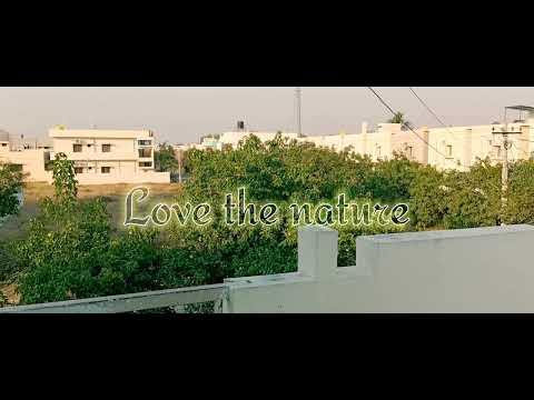 Oppo F17 pro camera stabilization test (cinematic)