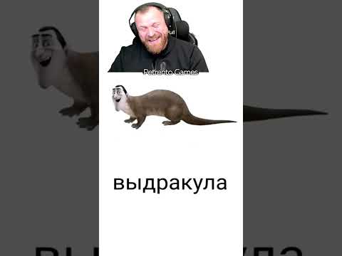 Петренто батутка 2 #петренто #petrento #приколы #прикол #мемы #реакция #мем #memes #funny #юмор