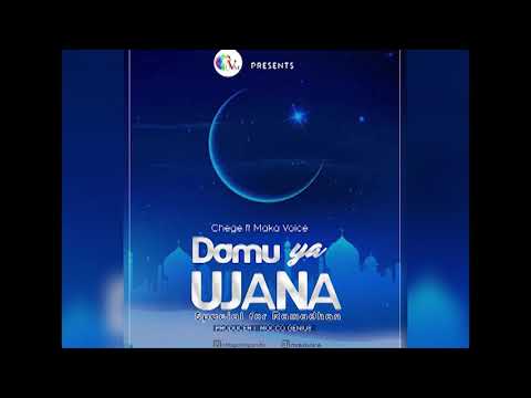 Chege Ft Maka Voice - Damu Ya Ujana (Official Audio)