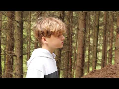 Join in! The Little Red Wood Ant