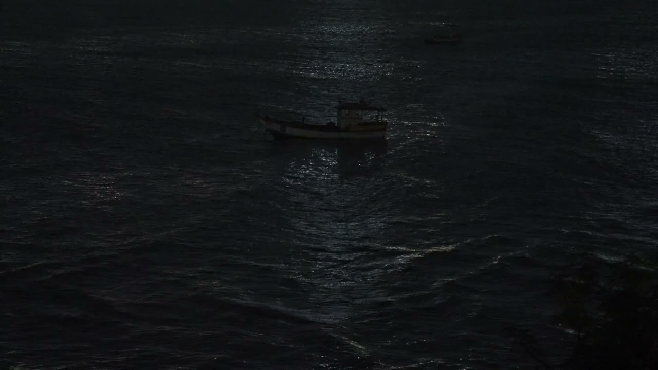 Last Night I Dreamed It Was Raining Fish - Trailer | IFFR 2026