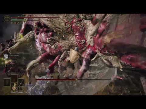 ELDEN RING™_20220718064403